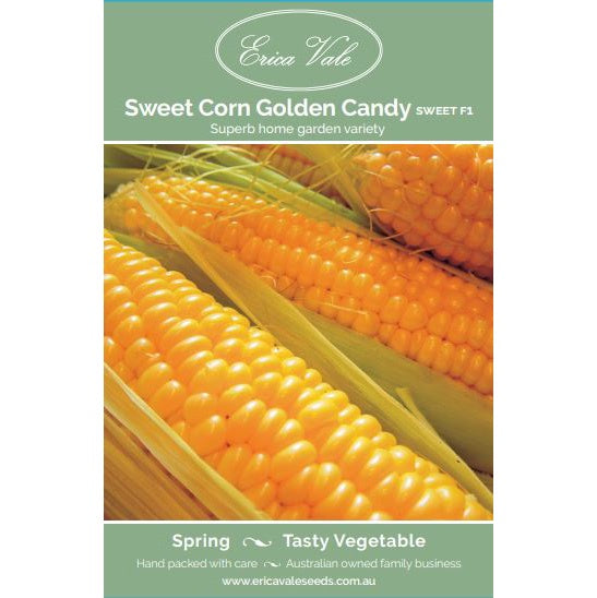 Sweet Corn Golden Candy F1 Seeds
