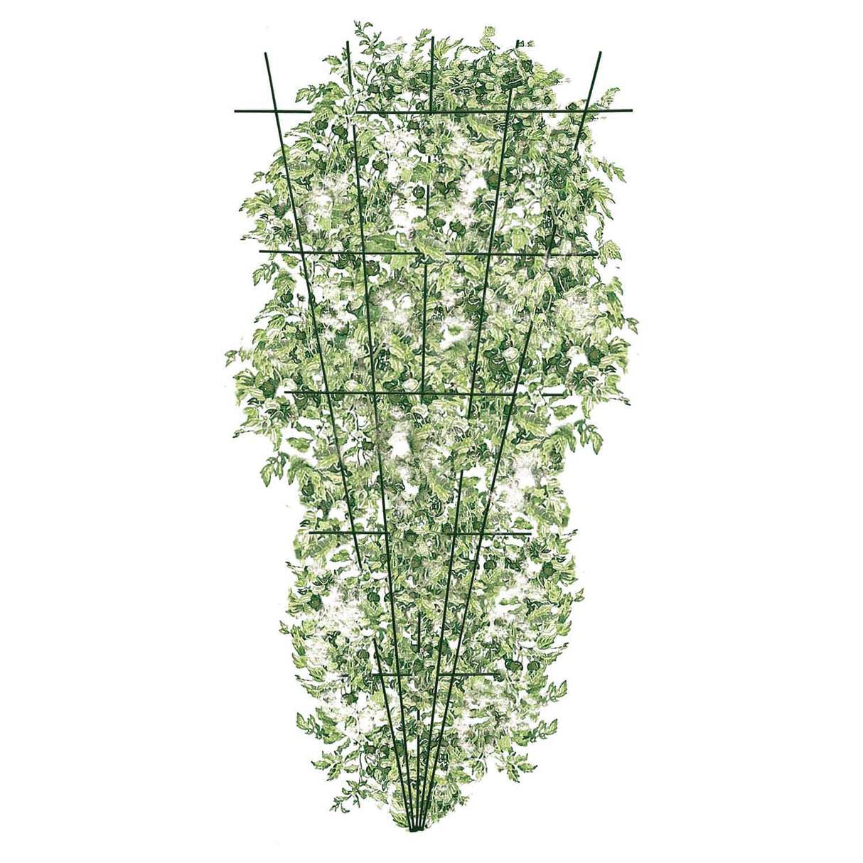 Fan Trellis 180cm Hammertone