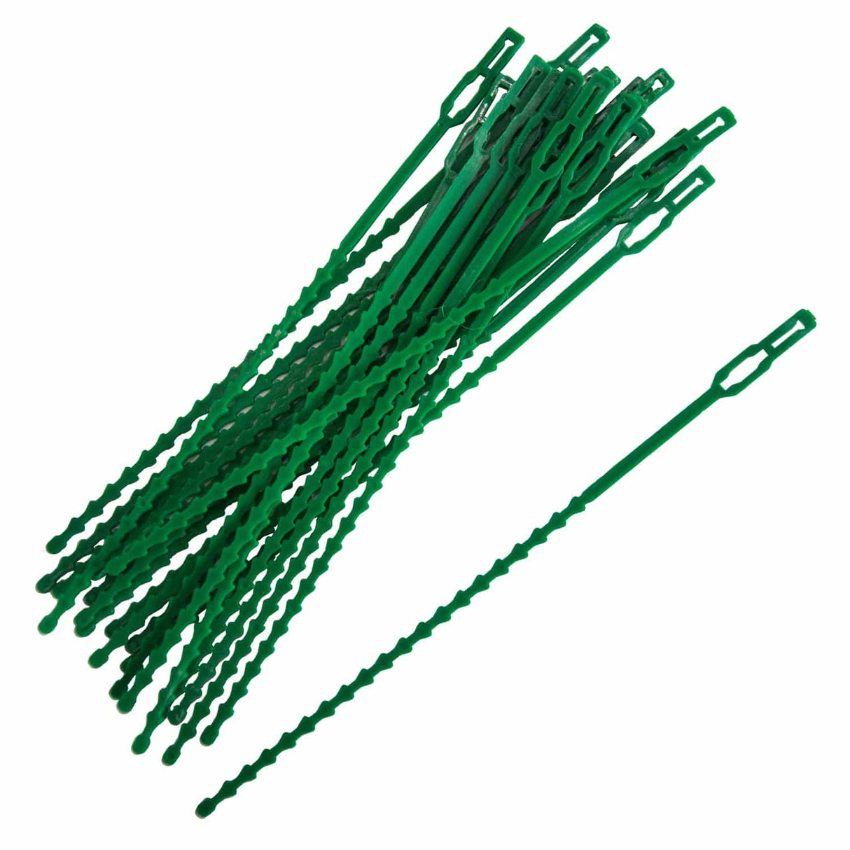 Large Adjustable Plant Ties 23cm Green - Pack of 30