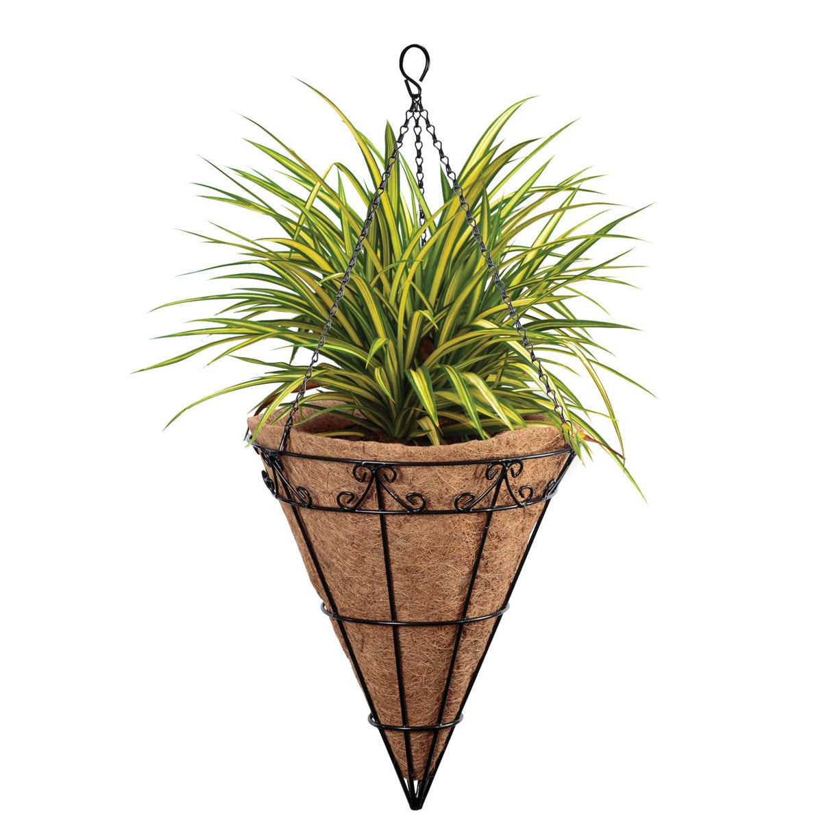 Madonna Cone Hanging Basket with Liner 35.5cm