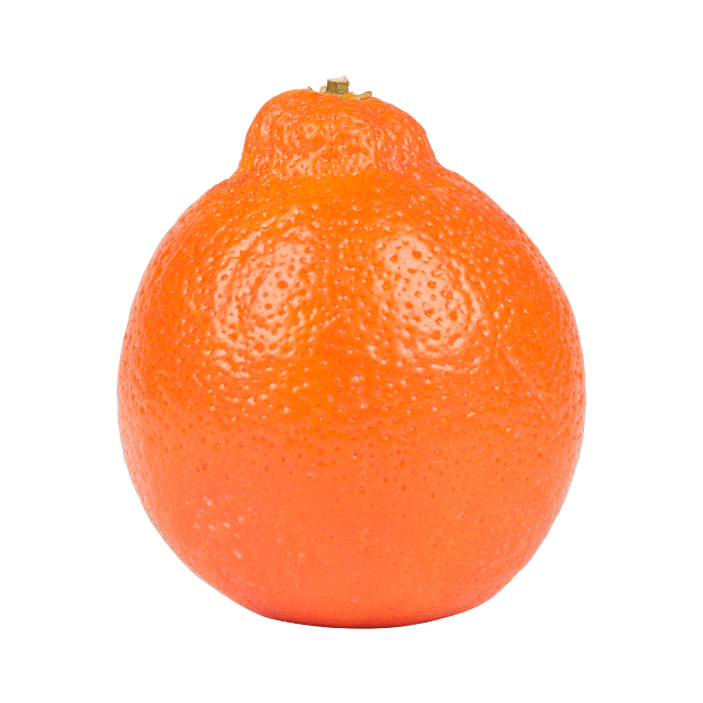 Tangelo Seminole 17cm