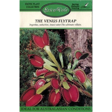 Venus Fly Trap Carnivorous Seeds