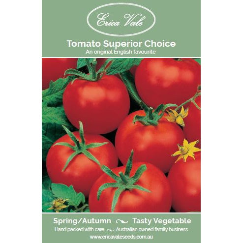 Tomato Superior Choice Seeds