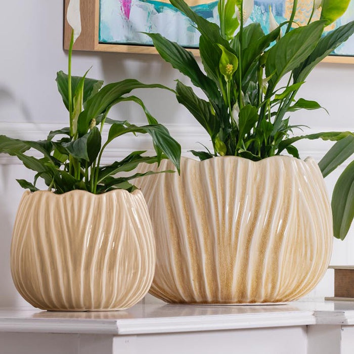 Tulip Ceramic Pot Sand