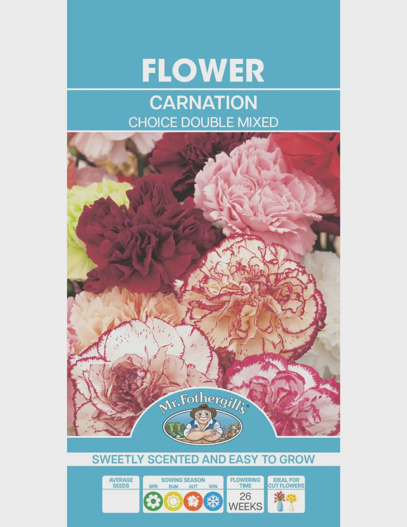 Carnation Choice Double Mixed Seeds