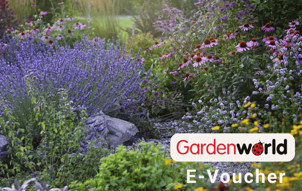 Gardenworld E-Voucher