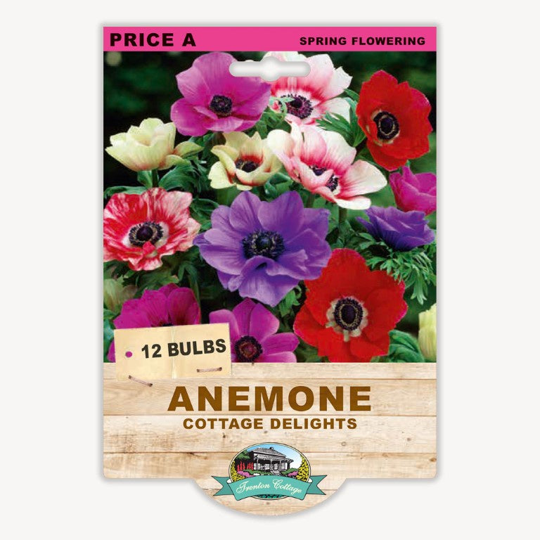 Anemone Cottage Delights - 12 Bulbs