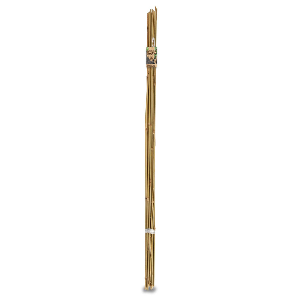 Bamboo Garden Stakes