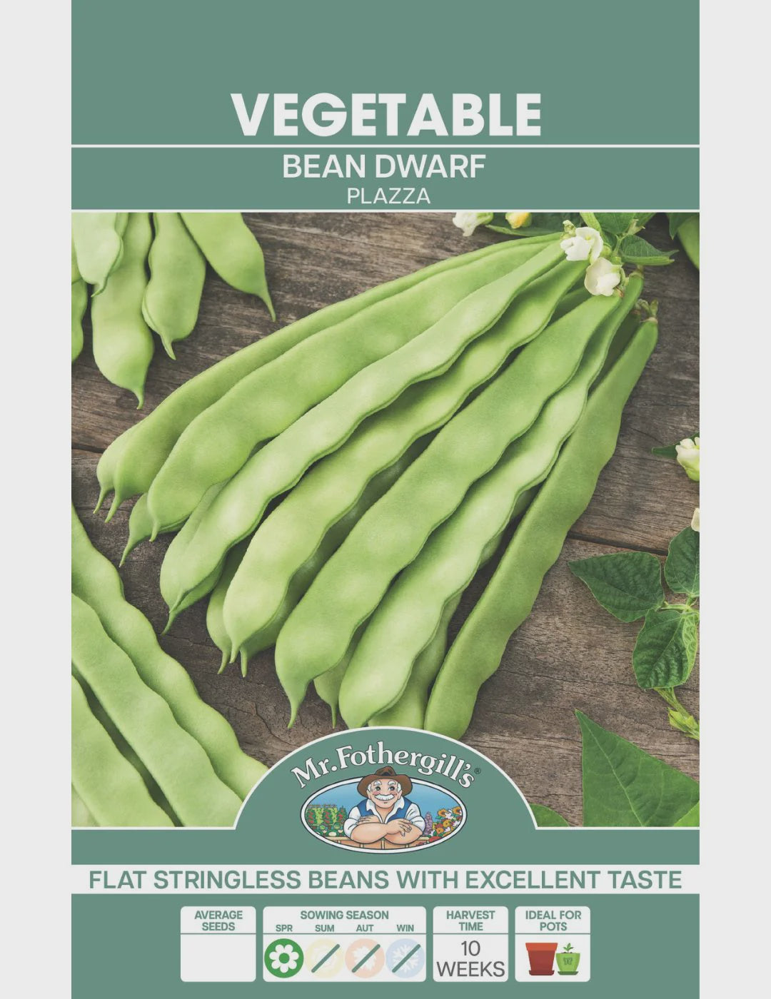 Bean Dwarf Plazza Seeds