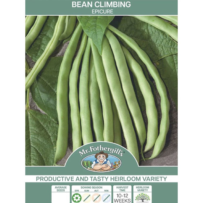 Bean Climbing Epicure Seeds
