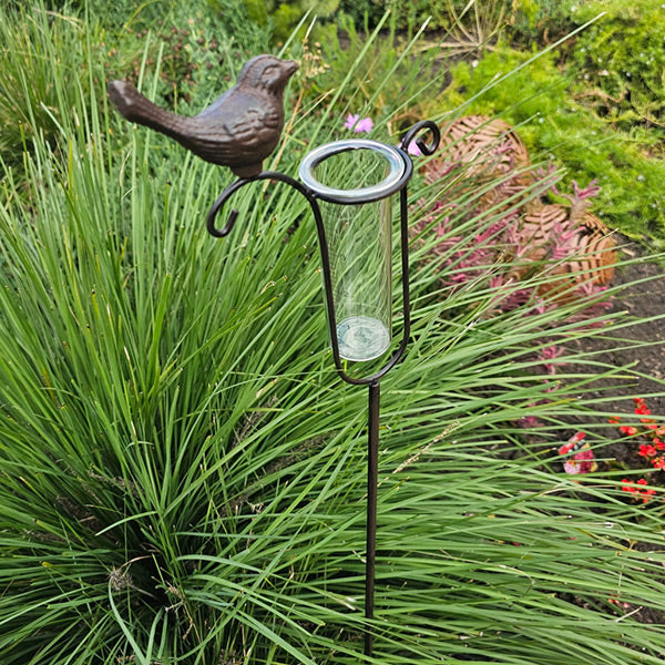 Bird Rain Gauge