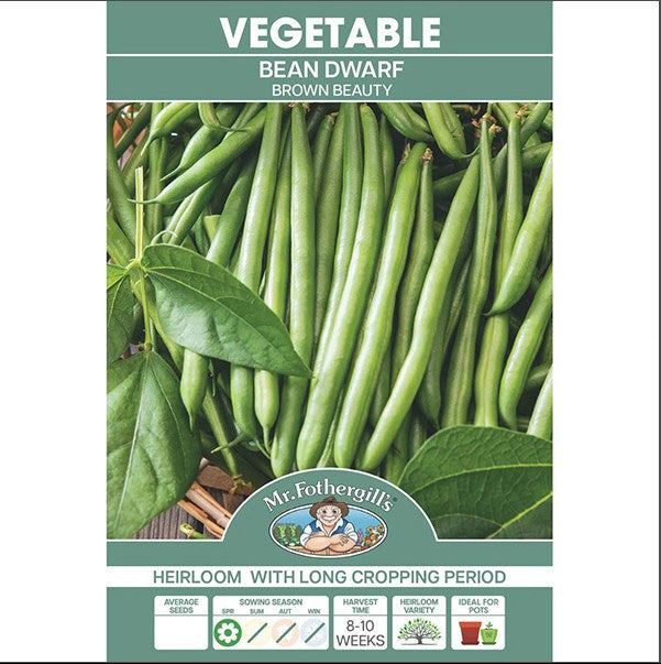 Bean Dwarf Brown Beauty Seeds