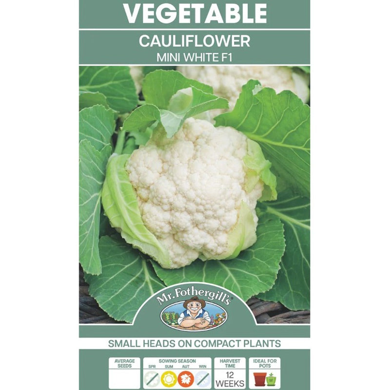 Cauliflower Mini White F1 Seeds