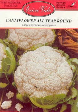 Cauliflower All Year Round Seeds