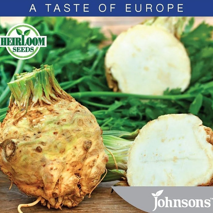 Celeriac Giant Prague Seeds