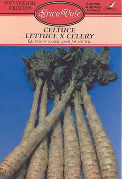 Celtuce Lettuce x Celery Seeds