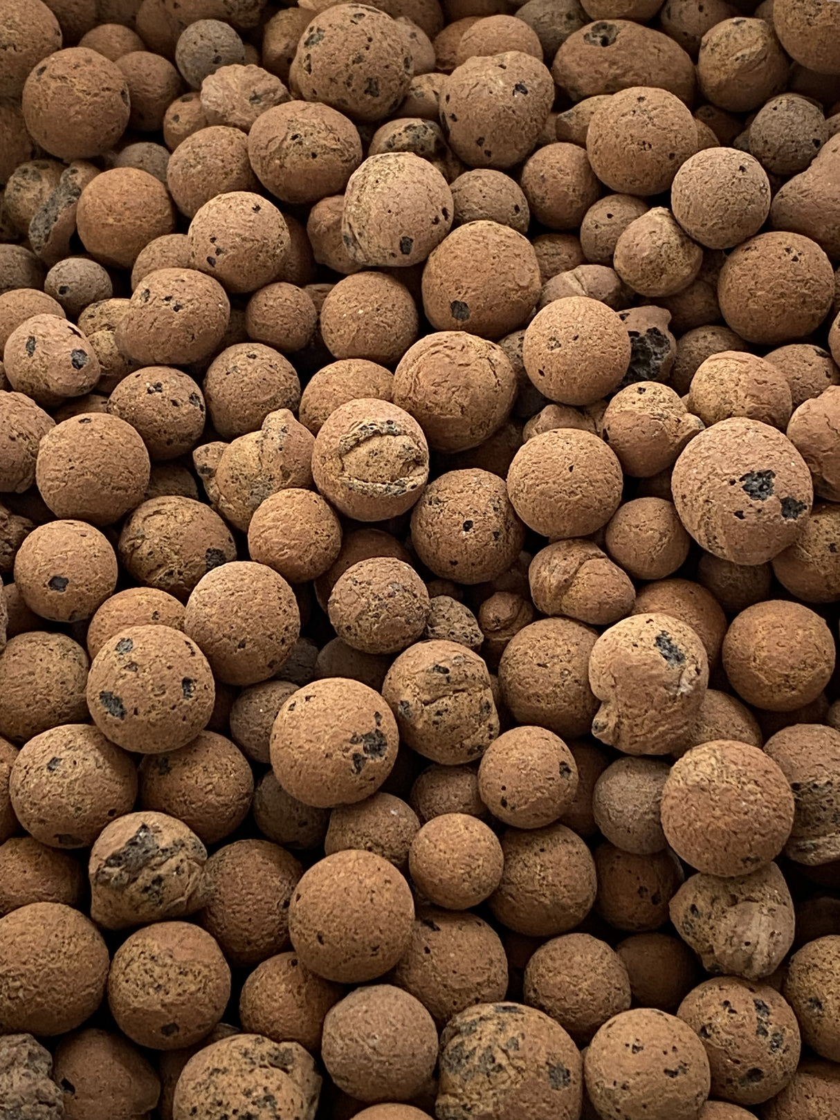 Clay Balls 5L Bag