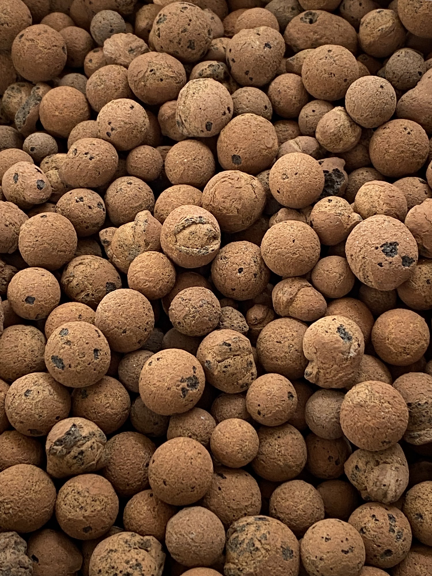 Clay Balls 5L Bag