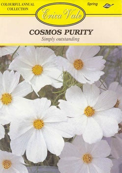 Cosmos Purity Seeds