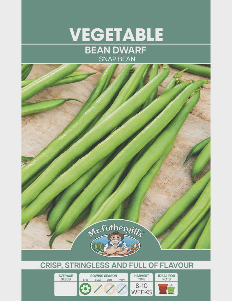 Bean Dwarf Snap Bean Seeds