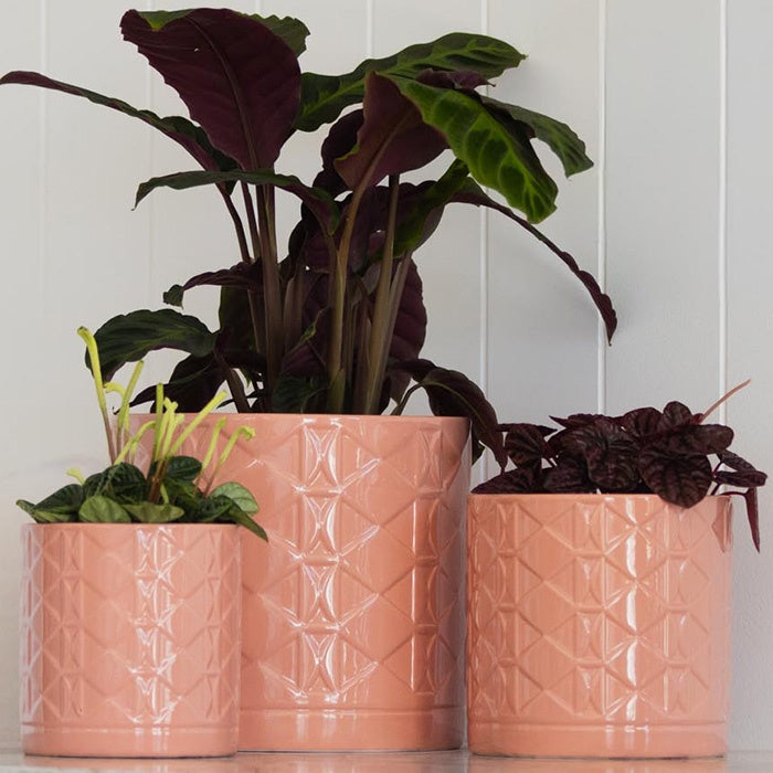 Eden Ceramic Pot Blush