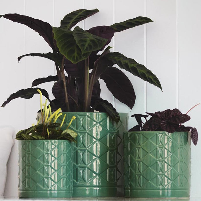 Eden Ceramic Pot Green