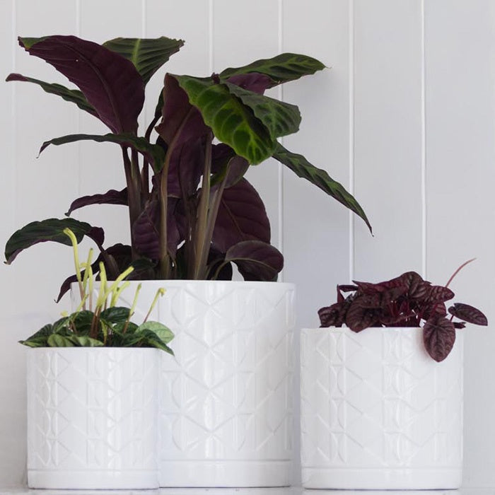 Eden Ceramic Pot White