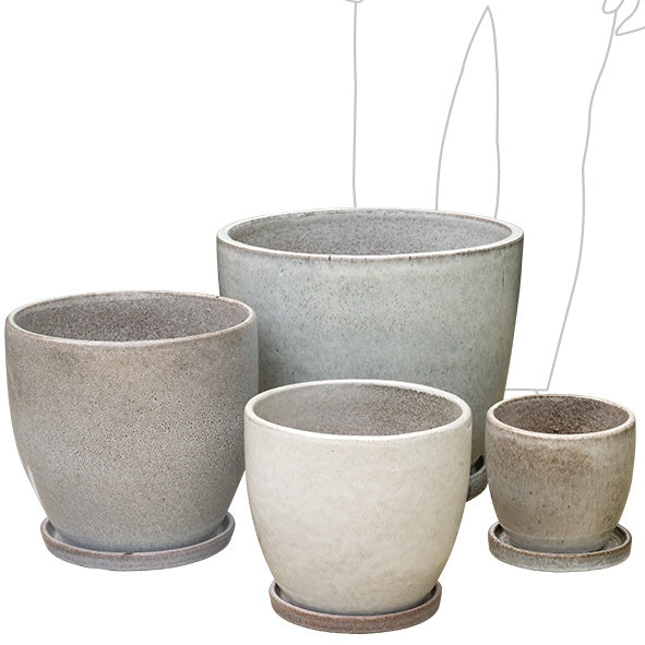 Egg Pot & Saucer Safari