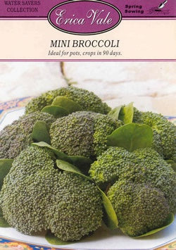 Broccoli Mini Kabuki Seeds
