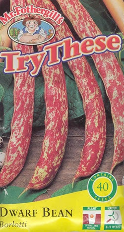 Bean Dwarf Borlotti Seeds