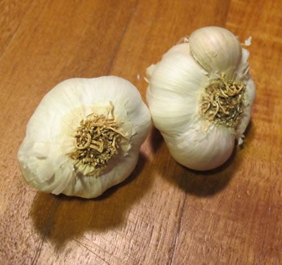 Garlic Austral 2-Pack