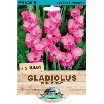 Gladiolus Pink Event - 5 Bulbs