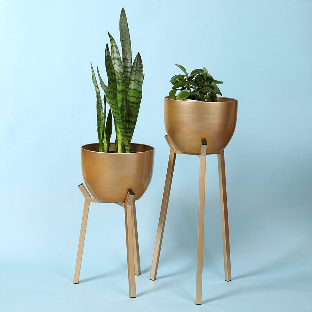 Gold Plant Stand