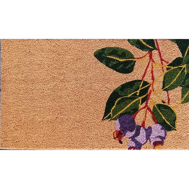 Doormat PVC Coir Gumnut