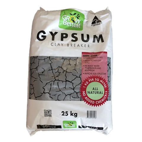 Gypsum