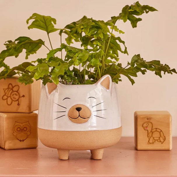 Happy Dog - Happy Cat