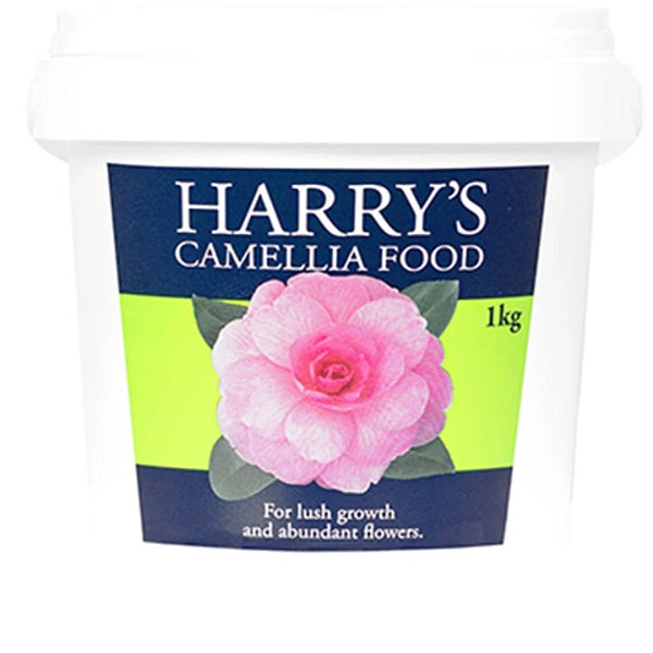 Harrys Camellia Food