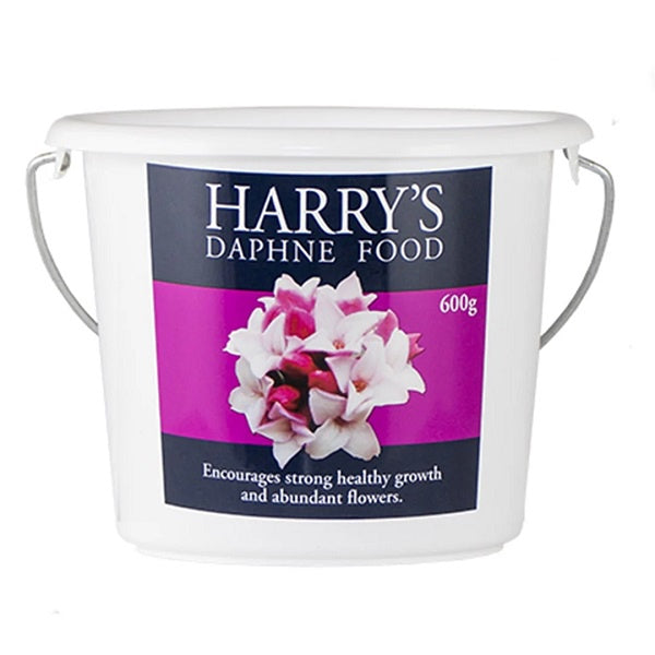 Harrys Daphne Food 600g