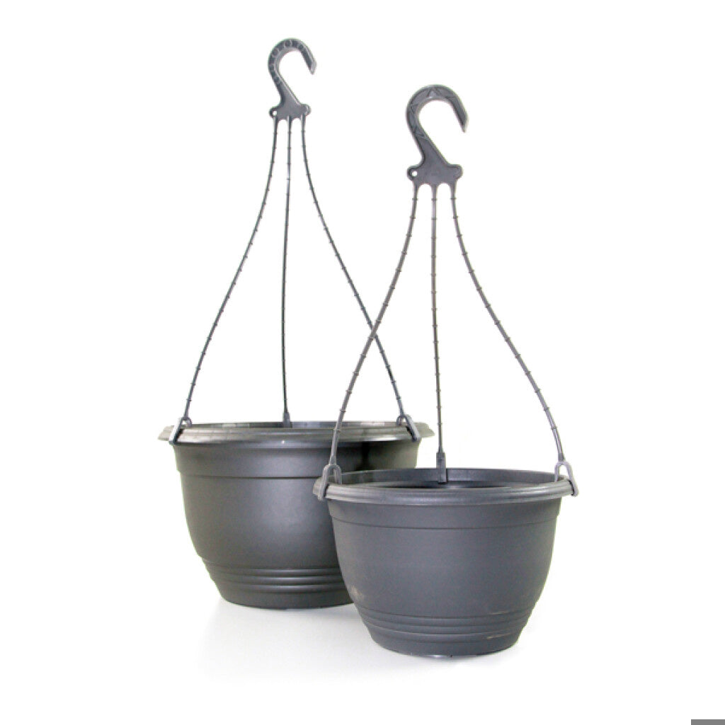 Hanging Basket 270mm With Hanger