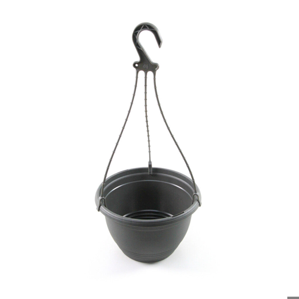 Hanging Basket 200mm With Hanger