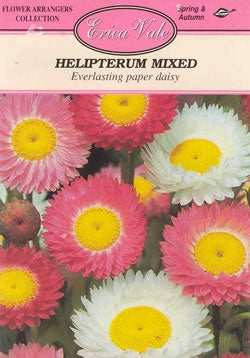 Helipterum Paper Daisy Mixed Seeds