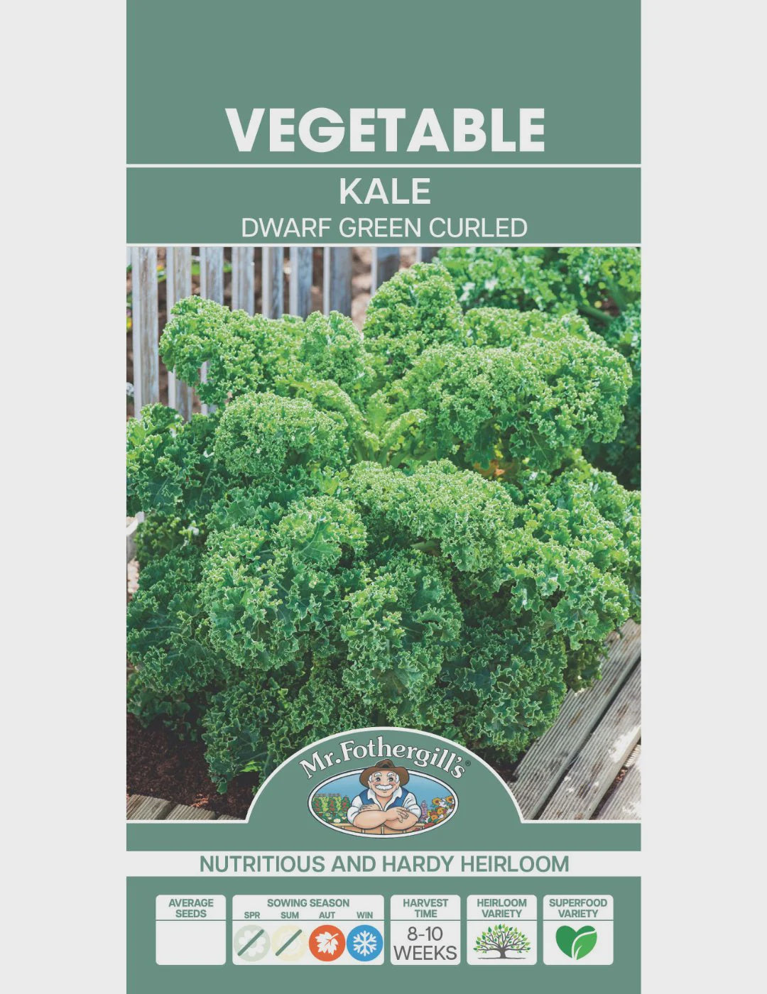 Kale Dwarf Green Curled Seeds