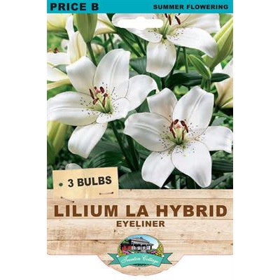 Lilium LA Hybrid Eyeliner - 3 Bulbs