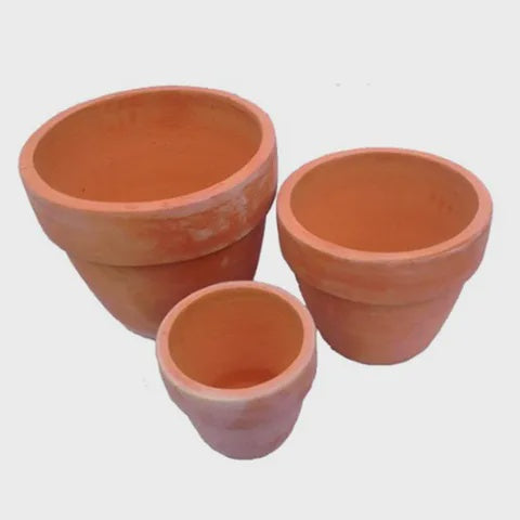 Lorenzo Terracotta