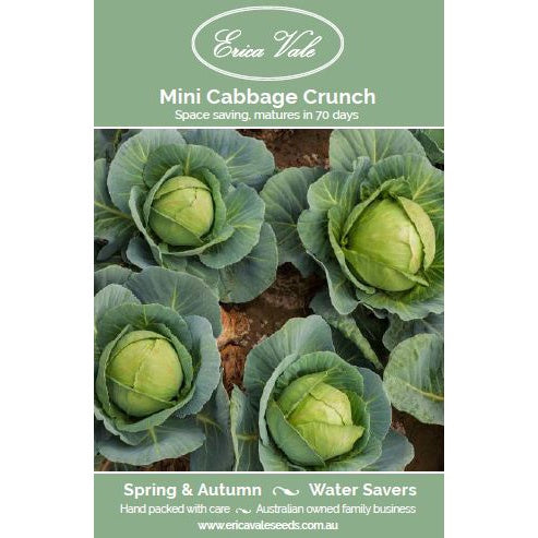 Mini Cabbage Crunch Seeds
