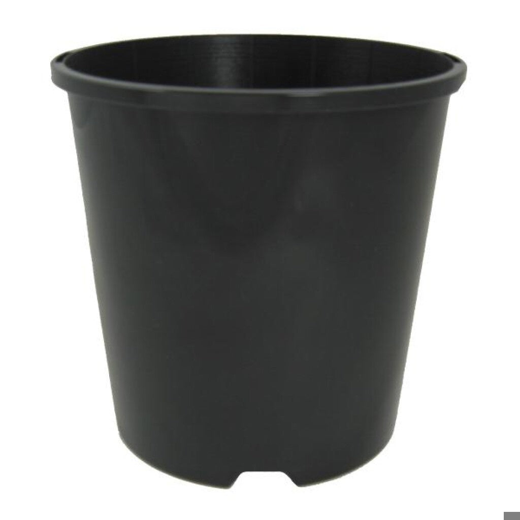 Pot Tall Capillary Black 150mm