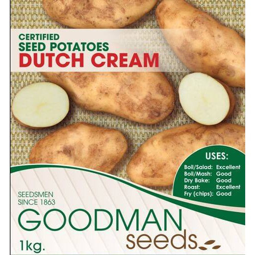 Seed Potato Dutch Cream 1kg