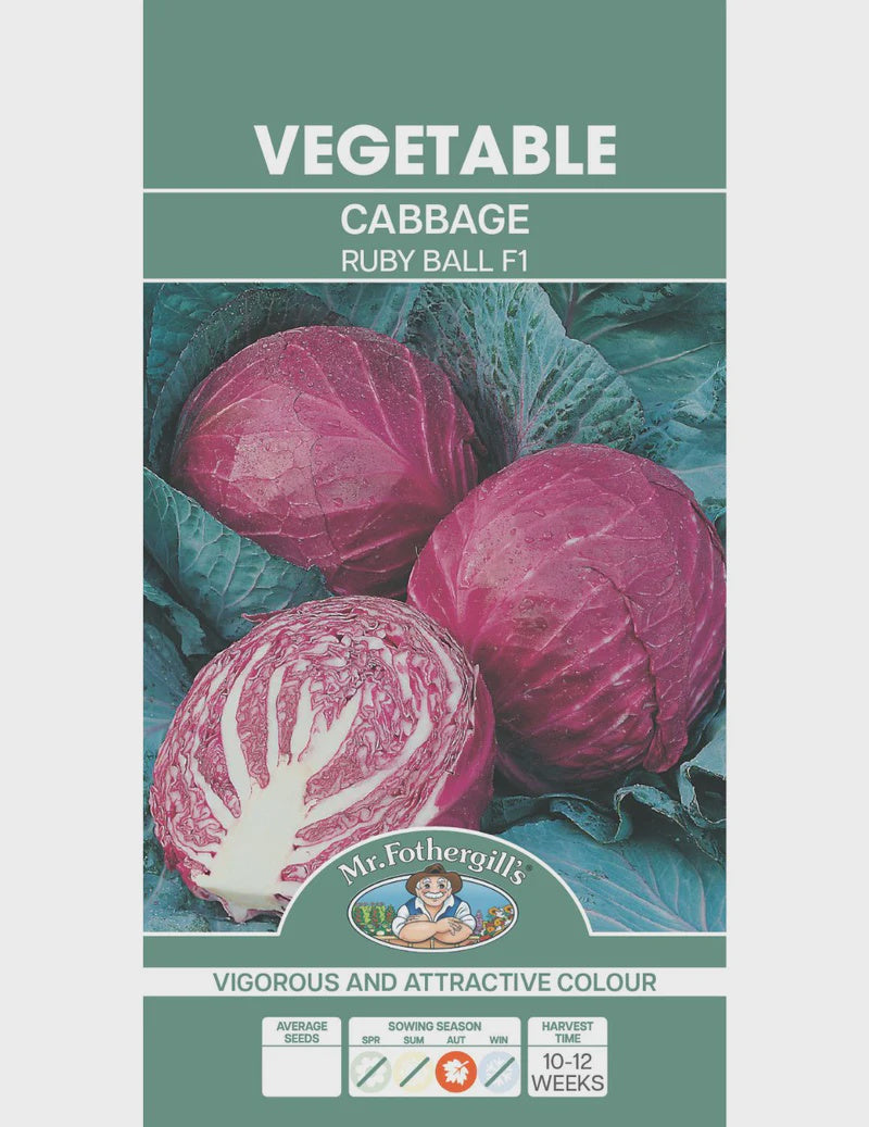 Red Cabbage Ruby Ball F1 Seeds