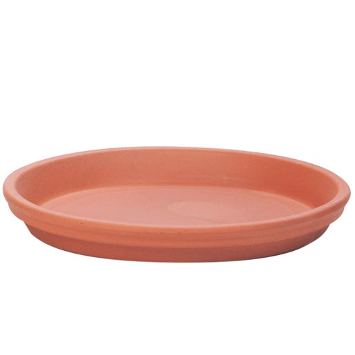 Saucer Terracotta