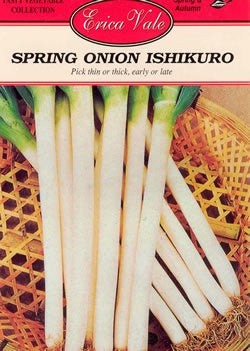 Spring Onion Ishikuro Seeds